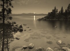 Sepia