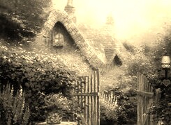 Szary + Sepia