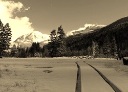 Szary + Sepia