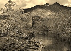 Szary + Sepia