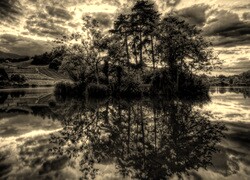 Szary + Sepia