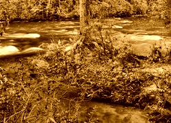 Sepia