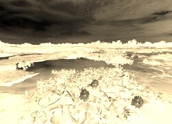 Sepia + Negatyw