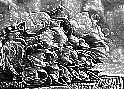 Skamielina