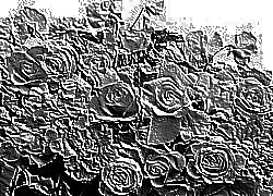 Skamielina