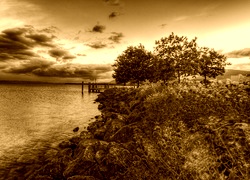 Sepia