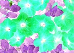 Negatyw