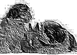 Skamielina
