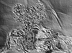 Skamielina