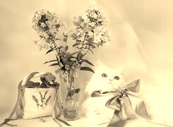 Szary + Sepia