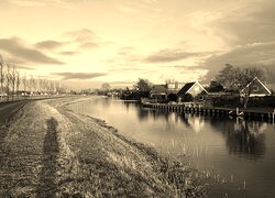 Szary + Sepia