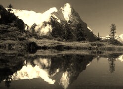 Szary + Sepia