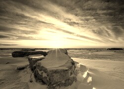 Szary + Sepia