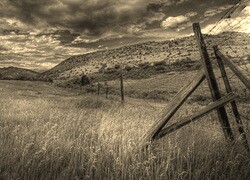 Szary + Sepia