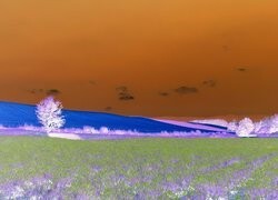 Negatyw