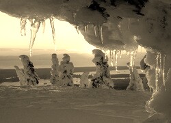 Szary + Sepia