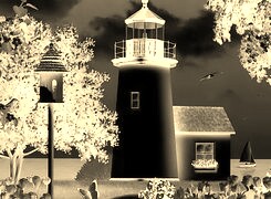 Sepia + Negatyw