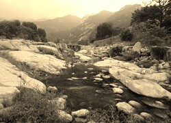 Szary + Sepia