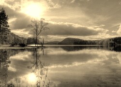 Sepia