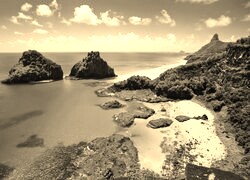 Szary + Sepia