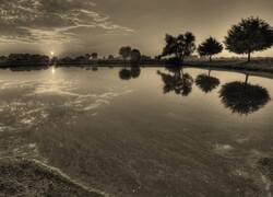 Szary + Sepia