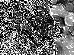 Skamielina