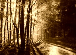 Sepia