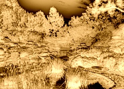 Sepia + Negatyw