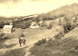 Sepia