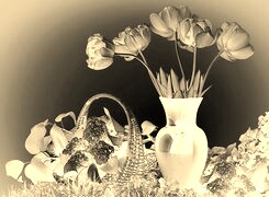 Sepia + Negatyw