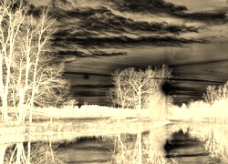 Sepia + Negatyw