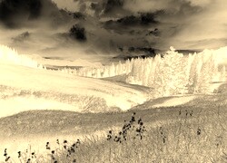 Sepia + Negatyw