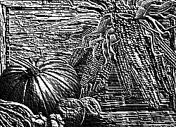 Skamielina
