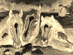 Sepia + Negatyw