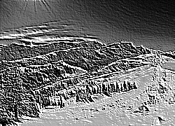Skamielina