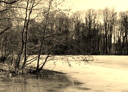 Szary + Sepia
