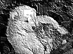 Skamielina