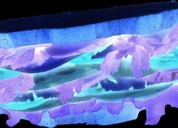 Negatyw