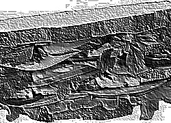 Skamielina