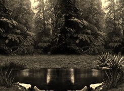Sepia