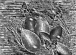 Skamielina