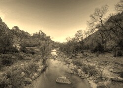 Szary + Sepia