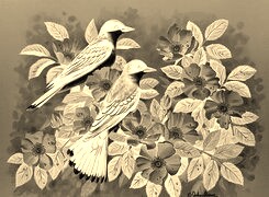 Sepia + Negatyw