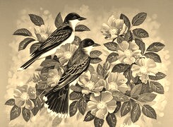 Sepia