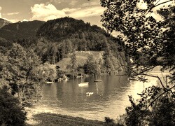 Szary + Sepia