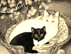 Szary + Sepia