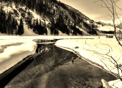Szary + Sepia