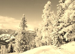 Szary + Sepia