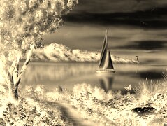 Sepia + Negatyw