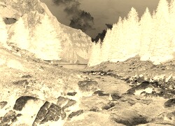 Sepia + Negatyw